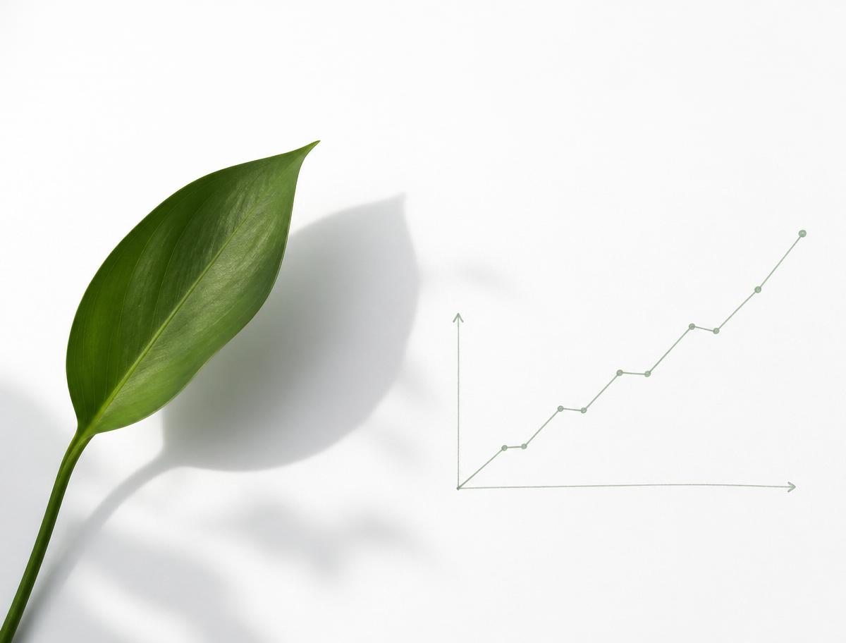 A single green leaf casting a soft shadow next to a hand-drawn rising line graph
